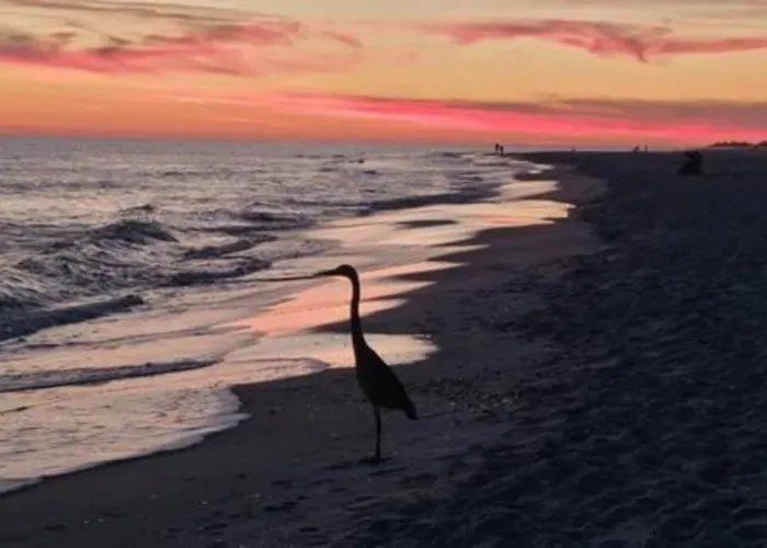 Dog Friendly 2 Bed Condo! Walk To Or Lagoon! Apartment Gulf Shores